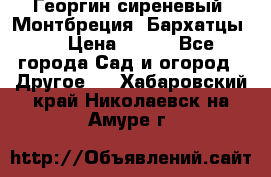 Георгин сиреневый. Монтбреция. Бархатцы.  › Цена ­ 100 - Все города Сад и огород » Другое   . Хабаровский край,Николаевск-на-Амуре г.